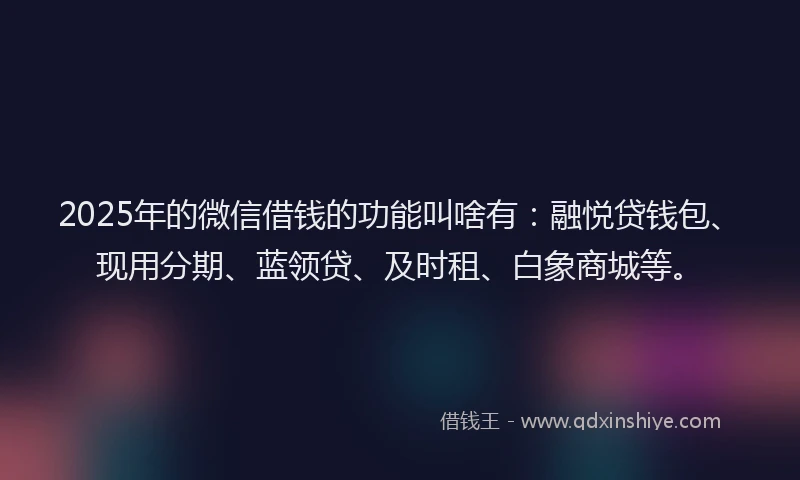 2025年的微信借钱的功能叫啥有：融悦贷钱包、现用分期、蓝领贷、及时租、白象商城等。
