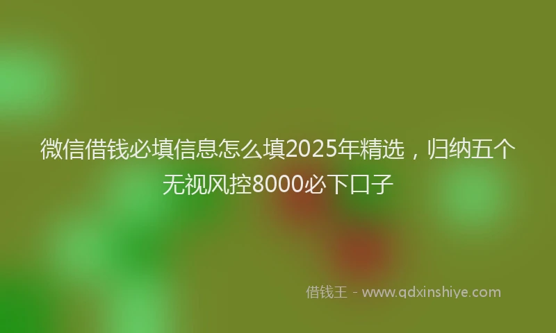 微信借钱必填信息怎么填2025年精选，归纳五个无视风控8000必下口子