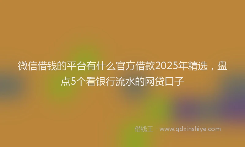 微信借钱的平台有什么官方借款2025年精选，盘点5个看银行流水的网贷口子