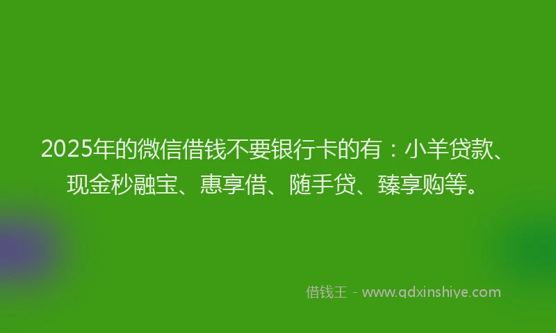 2025年的微信借钱不要银行卡的有：小羊贷款、现金秒融宝、惠享借、随手贷、臻享购等。