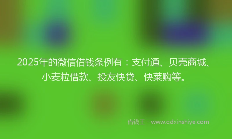 2025年的微信借钱条例有：支付通、贝壳商城、小麦粒借款、投友快贷、快莱购等。