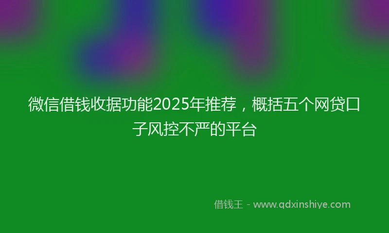 微信借钱收据功能2025年推荐，概括五个网贷口子风控不严的平台