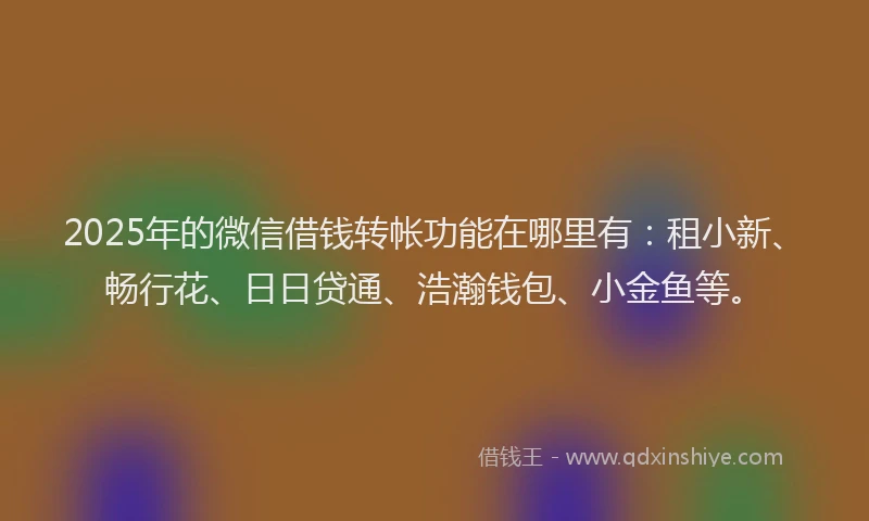 2025年的微信借钱转帐功能在哪里有：租小新、畅行花、日日贷通、浩瀚钱包、小金鱼等。