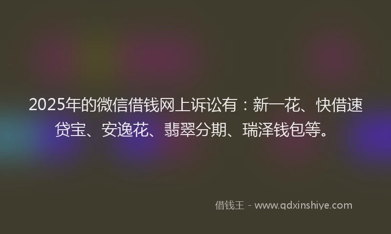 2025年的微信借钱网上诉讼有：新一花、快借速贷宝、安逸花、翡翠分期、瑞泽钱包等。