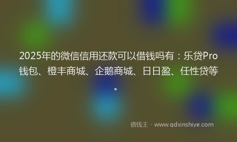 2025年的微信信用还款可以借钱吗有：乐贷Pro钱包、橙丰商城、企鹅商城、日日盈、任性贷等。