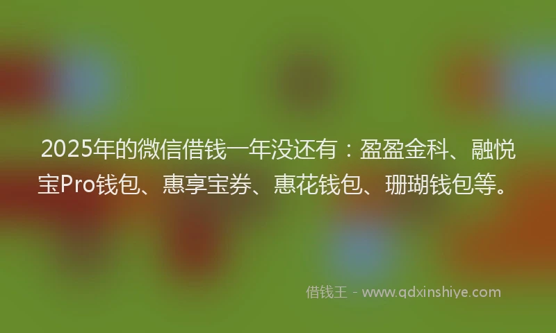 2025年的微信借钱一年没还有：盈盈金科、融悦宝Pro钱包、惠享宝券、惠花钱包、珊瑚钱包等。