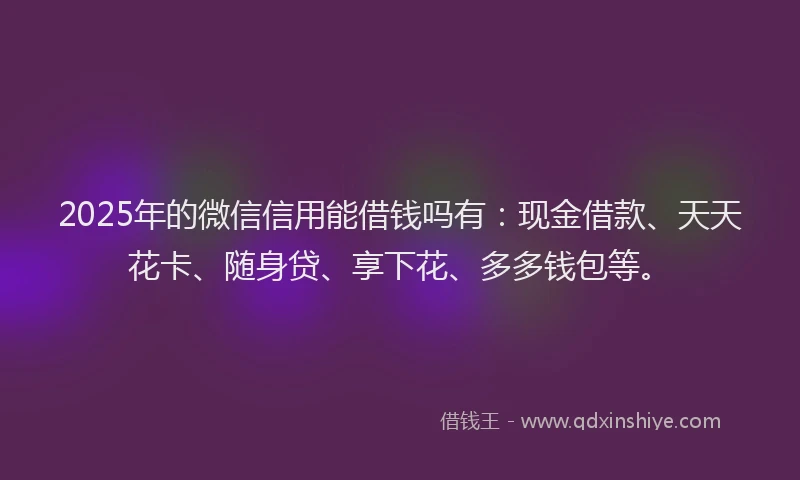 2025年的微信信用能借钱吗有：现金借款、天天花卡、随身贷、享下花、多多钱包等。
