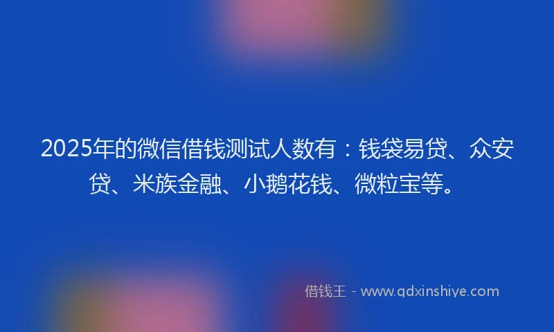 2025年的微信借钱测试人数有：钱袋易贷、众安贷、米族金融、小鹅花钱、微粒宝等。