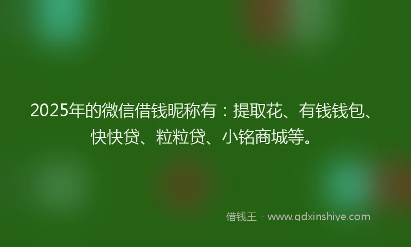 2025年的微信借钱昵称有：提取花、有钱钱包、快快贷、粒粒贷、小铭商城等。