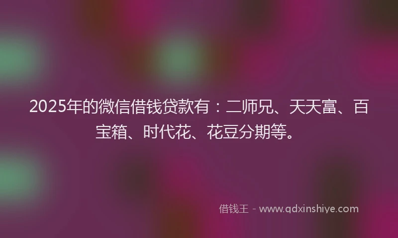 2025年的微信借钱贷款有：二师兄、天天富、百宝箱、时代花、花豆分期等。