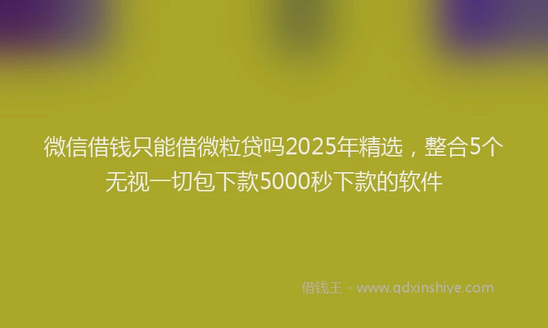 微信借钱只能借微粒贷吗2025年精选，整合5个无视一切包下款5000秒下款的软件
