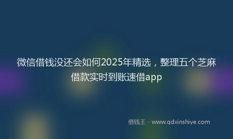 微信借钱没还会如何2025年精选，整理五个芝麻借款实时到账速借app