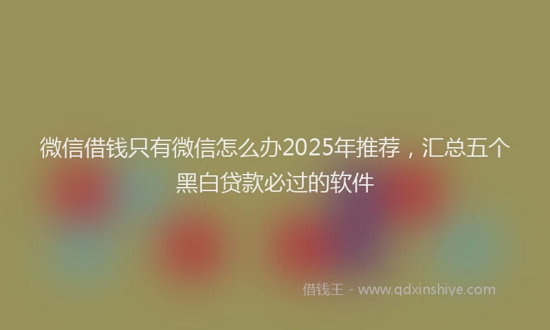 微信借钱只有微信怎么办2025年推荐，汇总五个黑白贷款必过的软件