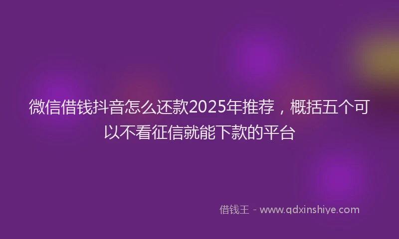 微信借钱抖音怎么还款2025年推荐，概括五个可以不看征信就能下款的平台