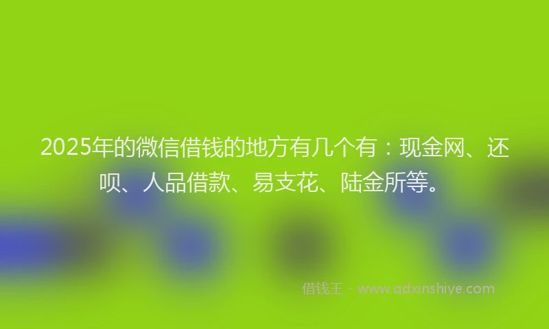 2025年的微信借钱的地方有几个有：现金网、还呗、人品借款、易支花、陆金所等。