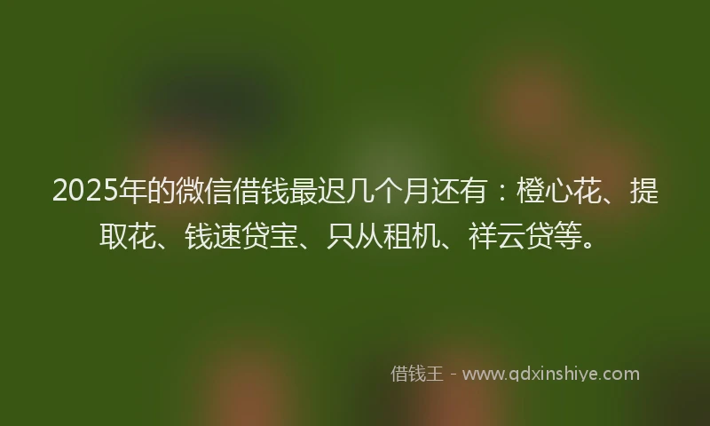 2025年的微信借钱最迟几个月还有：橙心花、提取花、钱速贷宝、只从租机、祥云贷等。