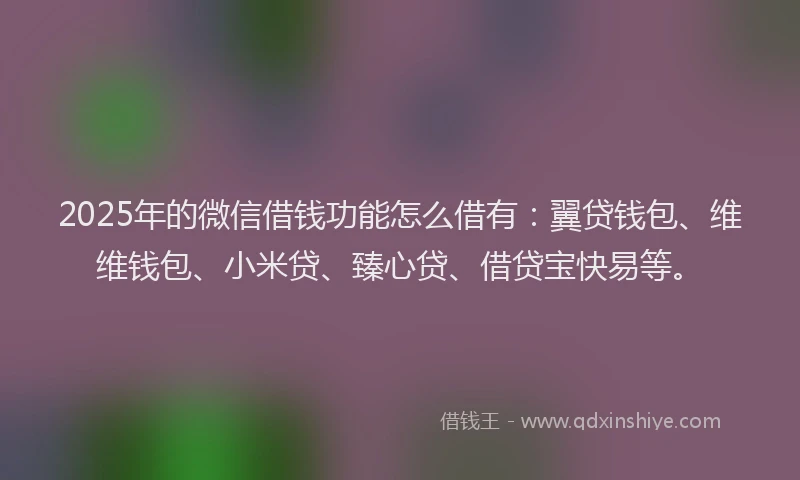 2025年的微信借钱功能怎么借有：翼贷钱包、维维钱包、小米贷、臻心贷、借贷宝快易等。