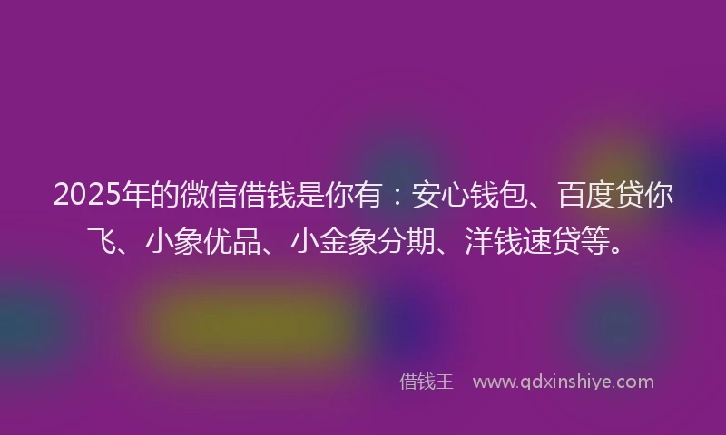 2025年的微信借钱是你有：安心钱包、百度贷你飞、小象优品、小金象分期、洋钱速贷等。