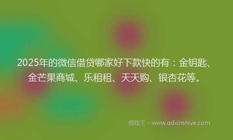 2025年的微信借贷哪家好下款快的有：金钥匙、金芒果商城、乐租租、天天购、银杏花等。