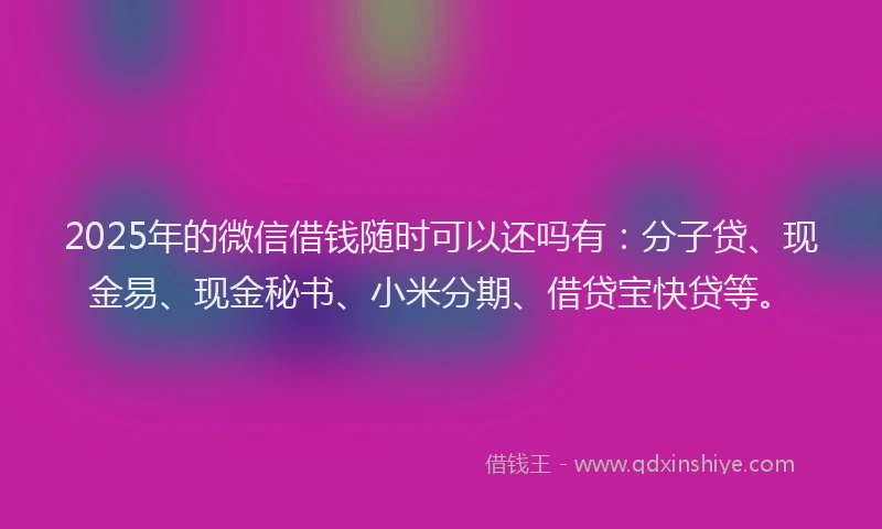 2025年的微信借钱随时可以还吗有：分子贷、现金易、现金秘书、小米分期、借贷宝快贷等。