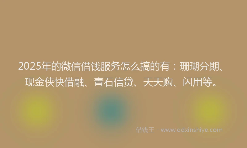 2025年的微信借钱服务怎么搞的有：珊瑚分期、现金侠快借融、青石信贷、天天购、闪用等。