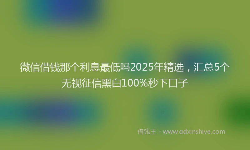 微信借钱那个利息最低吗2025年精选，汇总5个无视征信黑白100%秒下口子