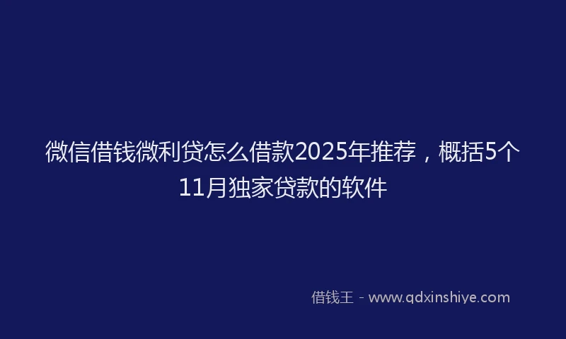 微信借钱微利贷怎么借款2025年推荐，概括5个11月独家贷款的软件