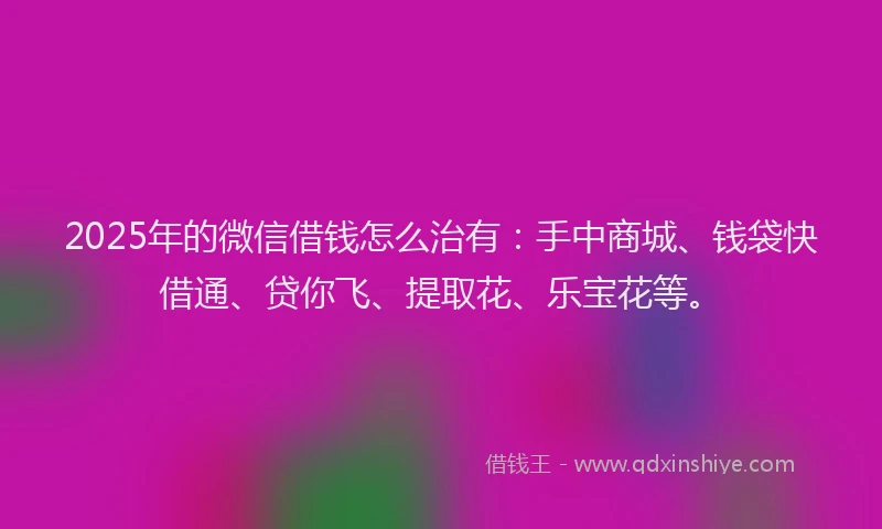2025年的微信借钱怎么治有：手中商城、钱袋快借通、贷你飞、提取花、乐宝花等。