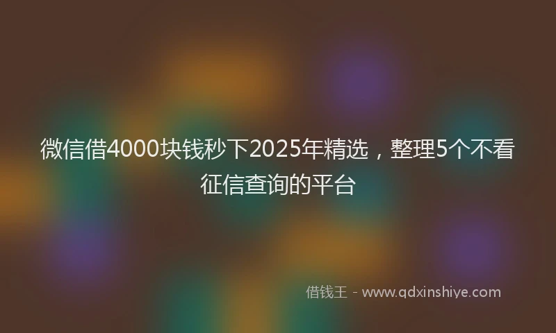 微信借4000块钱秒下2025年精选，整理5个不看征信查询的平台
