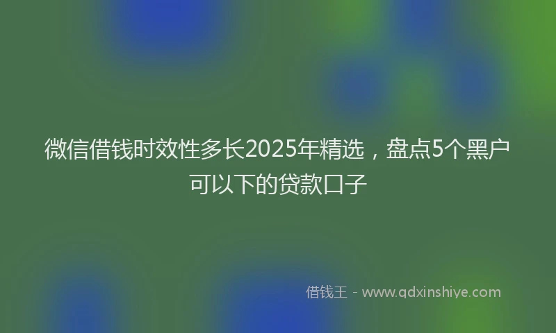 微信借钱时效性多长2025年精选，盘点5个黑户可以下的贷款口子