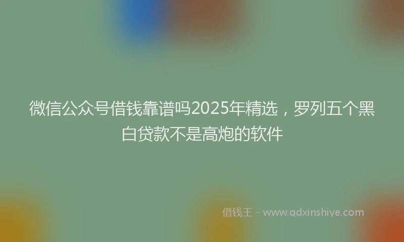 微信公众号借钱靠谱吗2025年精选，罗列五个黑白贷款不是高炮的软件