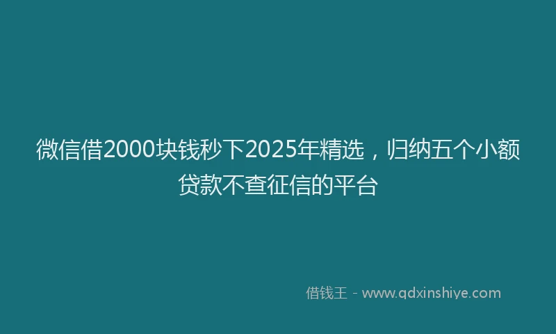 微信借2000块钱秒下2025年精选，归纳五个小额贷款不查征信的平台