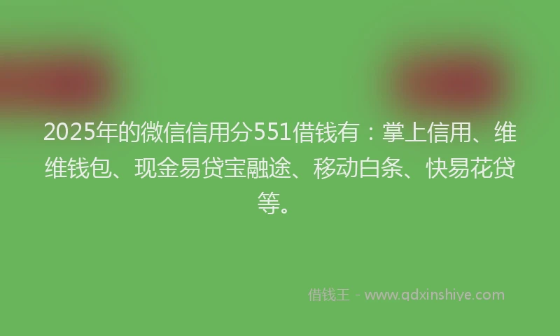 2025年的微信信用分551借钱有：掌上信用、维维钱包、现金易贷宝融途、移动白条、快易花贷等。