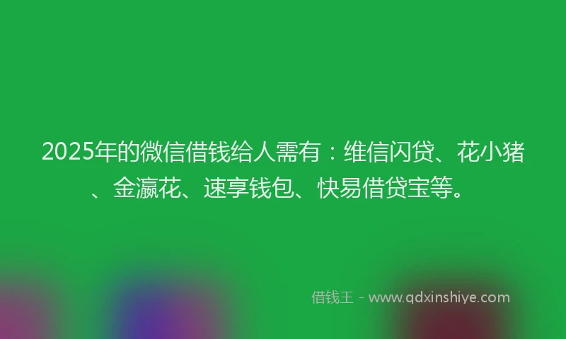 2025年的微信借钱给人需有：维信闪贷、花小猪、金瀛花、速享钱包、快易借贷宝等。