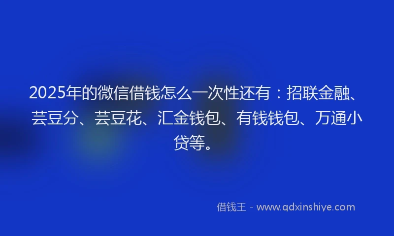 2025年的微信借钱怎么一次性还有：招联金融、芸豆分、芸豆花、汇金钱包、有钱钱包、万通小贷等。