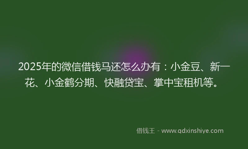 2025年的微信借钱马还怎么办有：小金豆、新一花、小金鹤分期、快融贷宝、掌中宝租机等。