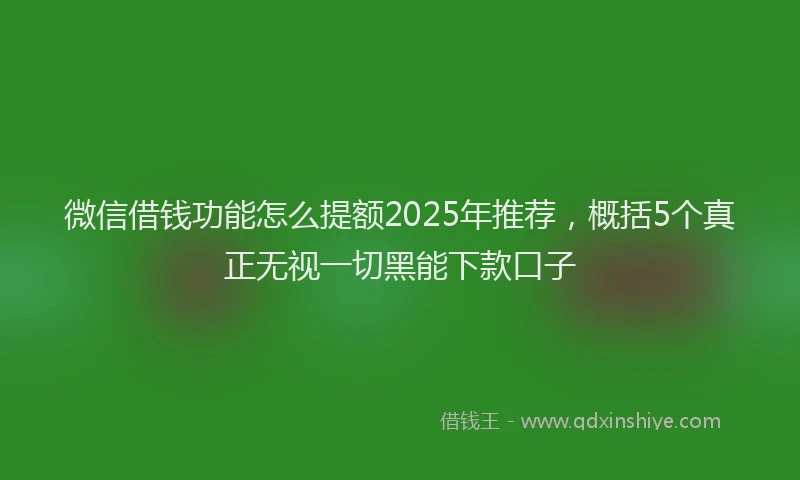 微信借钱功能怎么提额2025年推荐，概括5个真正无视一切黑能下款口子