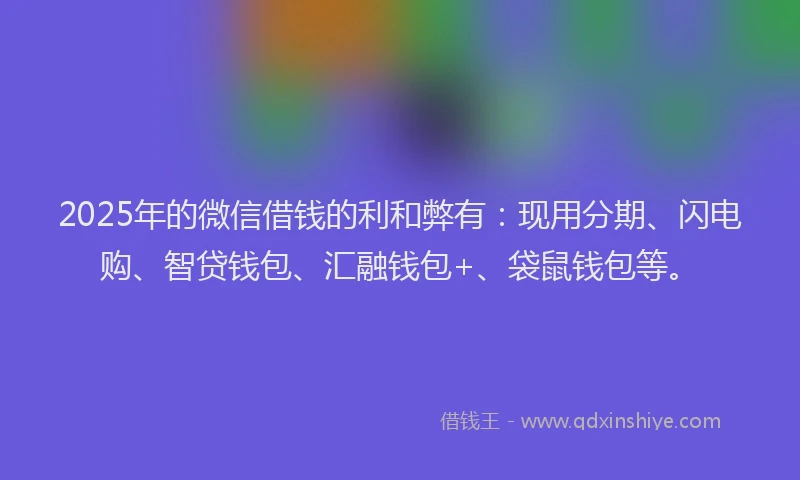 2025年的微信借钱的利和弊有：现用分期、闪电购、智贷钱包、汇融钱包+、袋鼠钱包等。