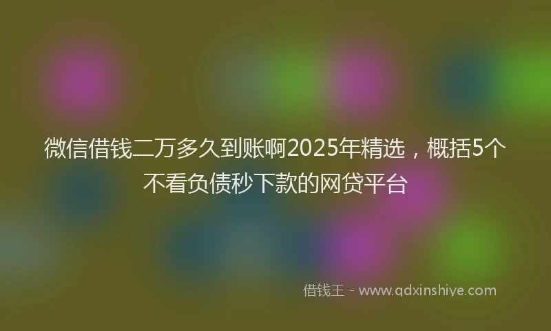 微信借钱二万多久到账啊2025年精选，概括5个不看负债秒下款的网贷平台