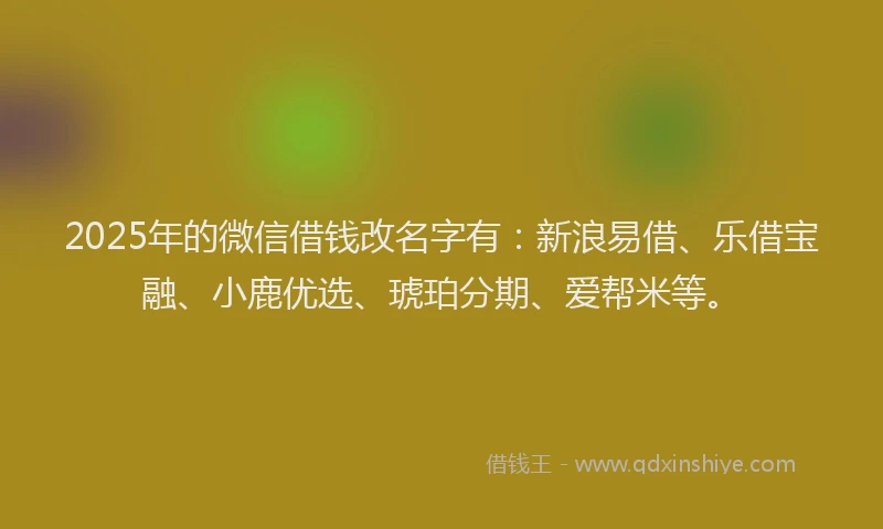 2025年的微信借钱改名字有：新浪易借、乐借宝融、小鹿优选、琥珀分期、爱帮米等。