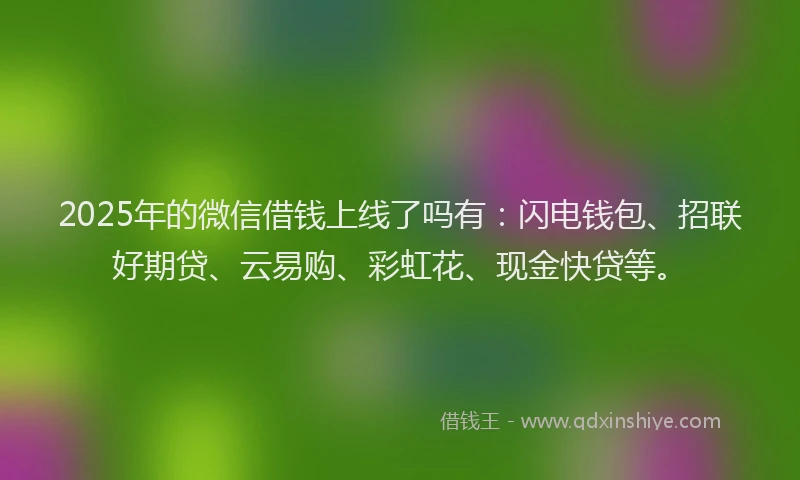 2025年的微信借钱上线了吗有：闪电钱包、招联好期贷、云易购、彩虹花、现金快贷等。
