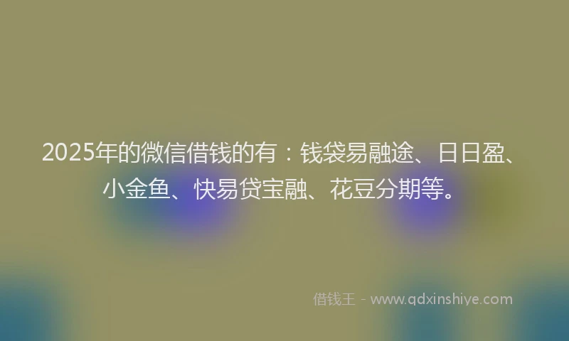 2025年的微信借钱的有：钱袋易融途、日日盈、小金鱼、快易贷宝融、花豆分期等。