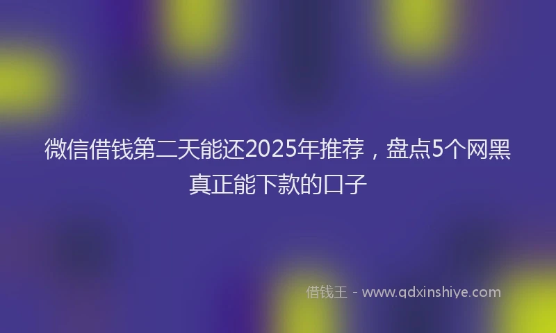 微信借钱第二天能还2025年推荐，盘点5个网黑真正能下款的口子