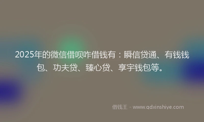 2025年的微信借呗咋借钱有：瞬信贷通、有钱钱包、功夫贷、臻心贷、享宇钱包等。