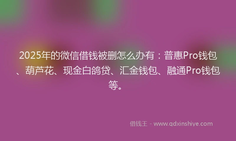 2025年的微信借钱被删怎么办有：普惠Pro钱包、葫芦花、现金白鸽贷、汇金钱包、融通Pro钱包等。