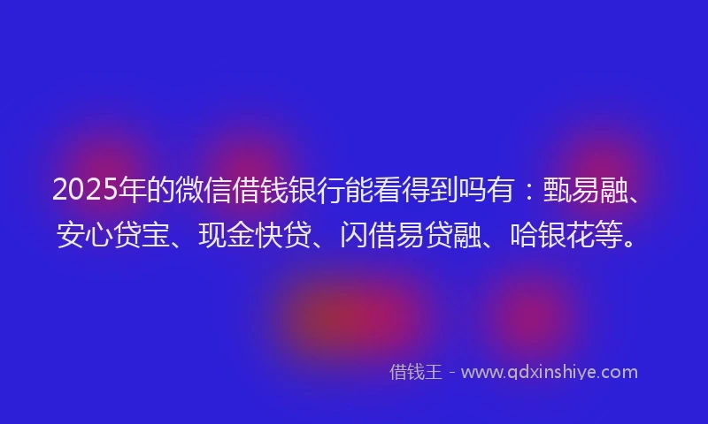 2025年的微信借钱银行能看得到吗有：甄易融、安心贷宝、现金快贷、闪借易贷融、哈银花等。