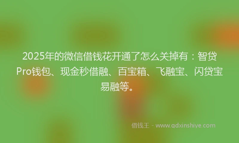 2025年的微信借钱花开通了怎么关掉有：智贷Pro钱包、现金秒借融、百宝箱、飞融宝、闪贷宝易融等。