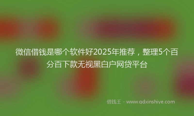 微信借钱是哪个软件好2025年推荐，整理5个百分百下款无视黑白户网贷平台