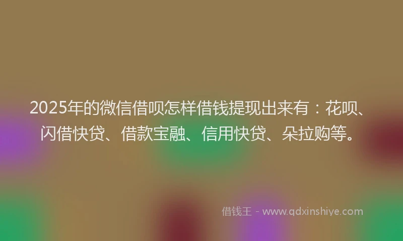 2025年的微信借呗怎样借钱提现出来有：花呗、闪借快贷、借款宝融、信用快贷、朵拉购等。