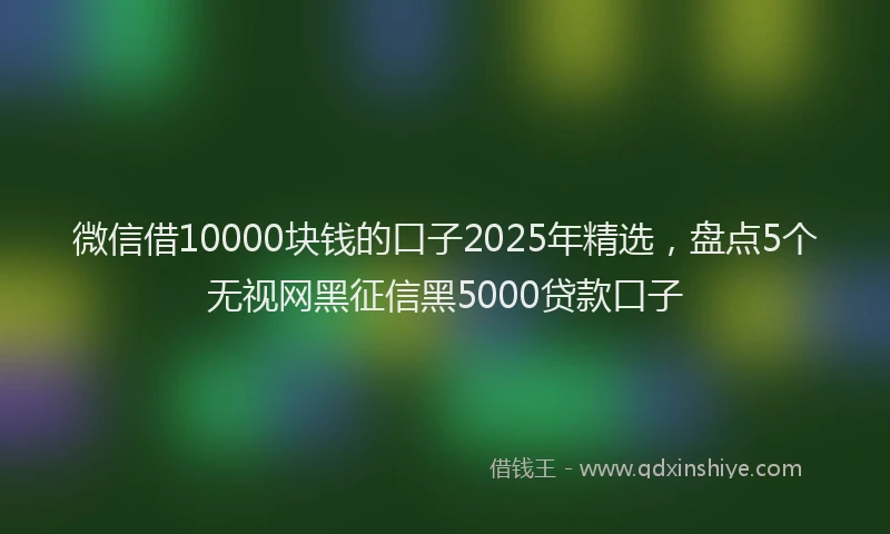 微信借10000块钱的口子2025年精选，盘点5个无视网黑征信黑5000贷款口子